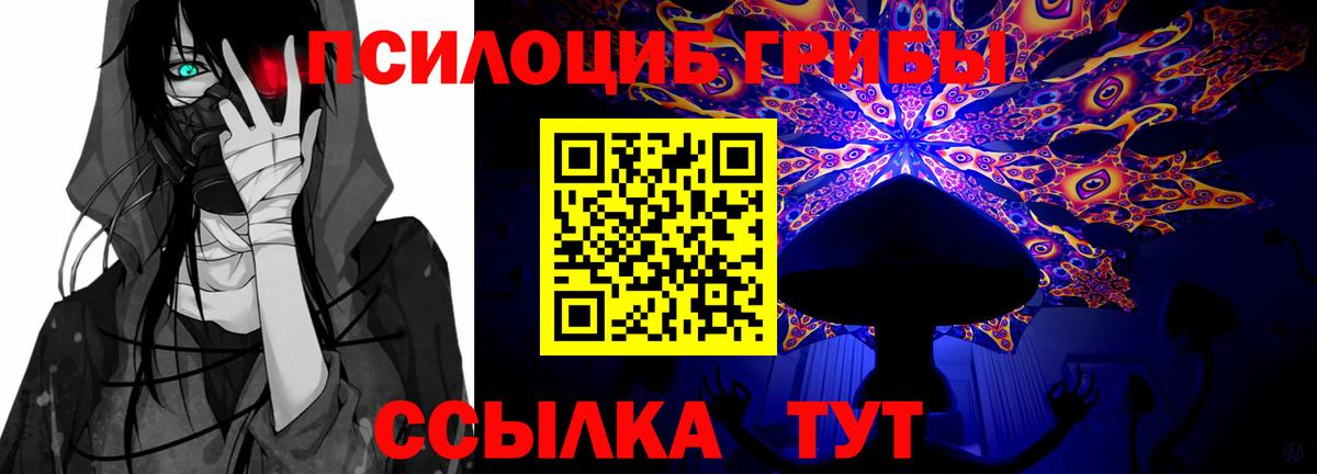 Псилоцибиновые грибы Magic Shrooms  Вход с VPN  Каменск-Шахтинский  где можно купить   Псилоцибиновые грибы ЛСД 